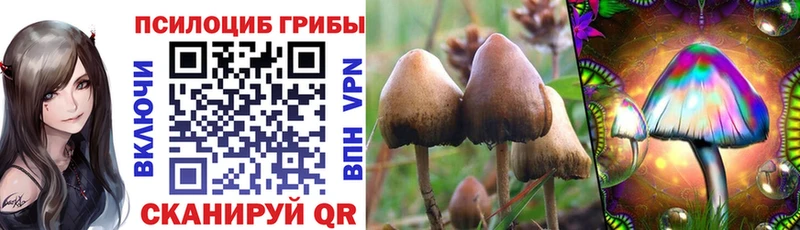 Галлюциногенные грибы GOLDEN TEACHER наркошоп Михайловка